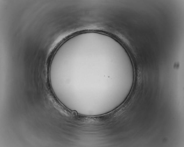 X0000114701270200911121532