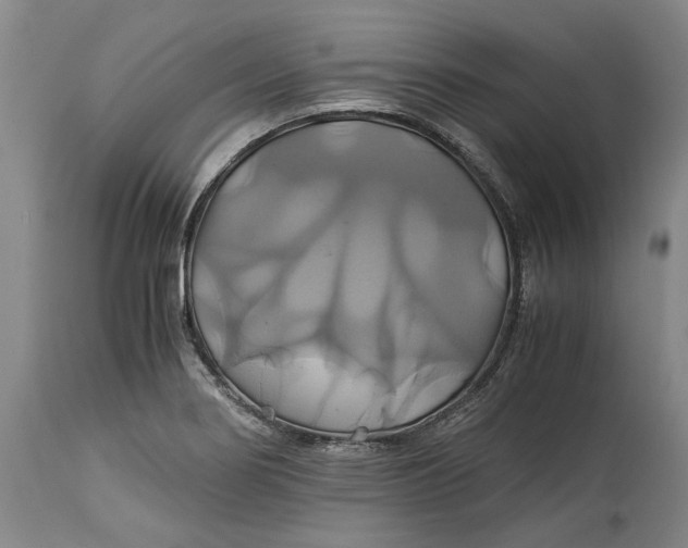 X0000114701274200911121532