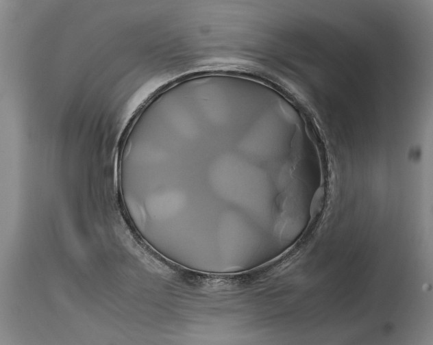 X0000114701275200911121532