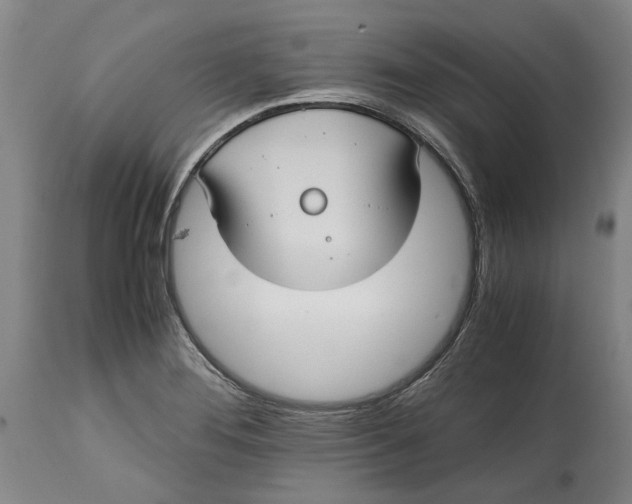 X0000114701276200911121532