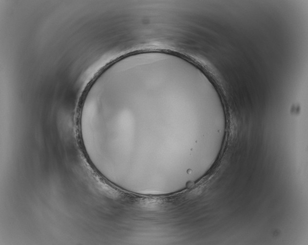 X0000114701278200911121532