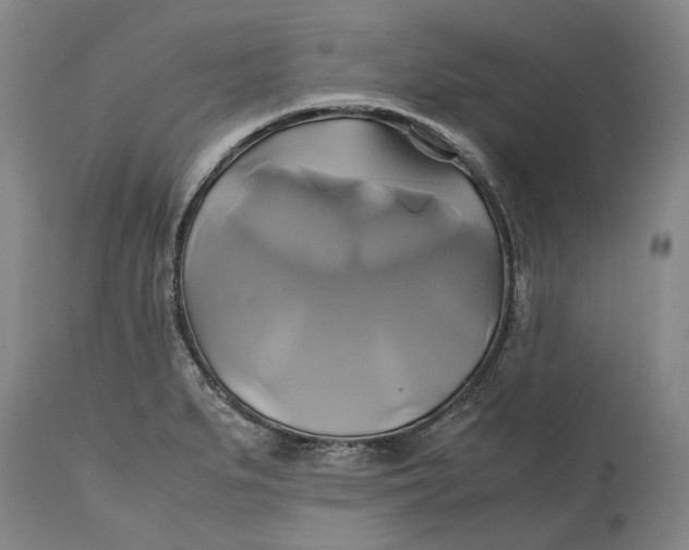 X0000114701279200911121532