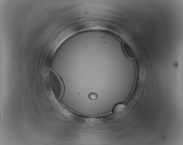 X0000114701281200911121532