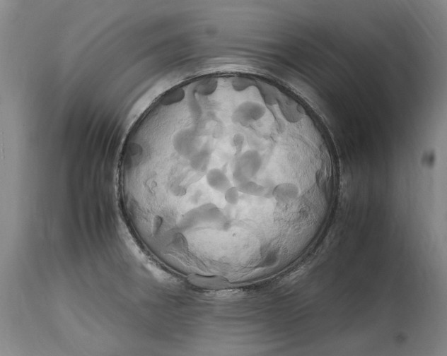 X0000114701282200911121532