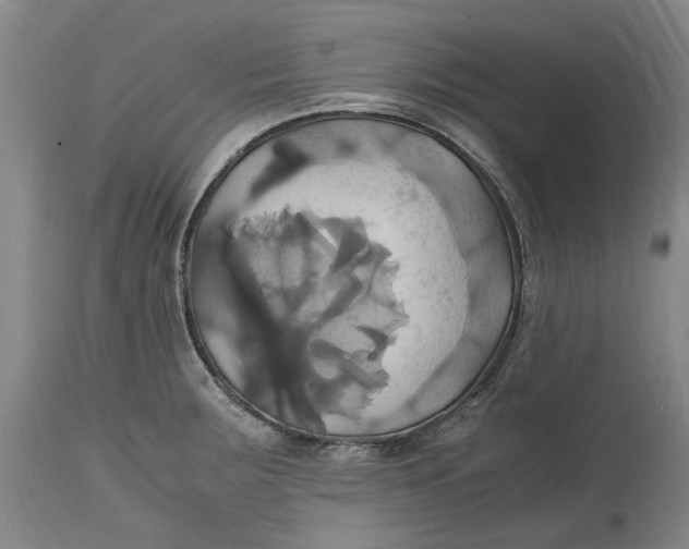 X0000114701283200911121532