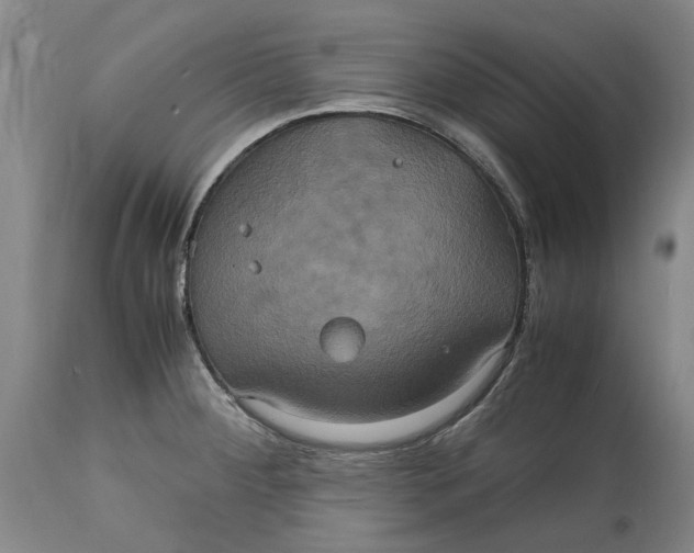 X0000114701284200911121532