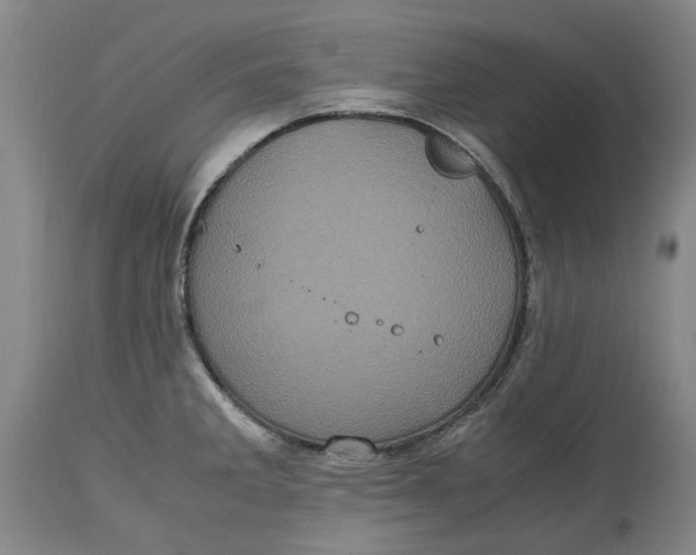 X0000114701285200911121532