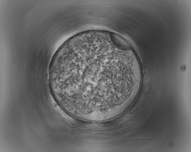 X0000114701287200911121532