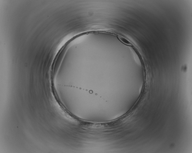 X0000114701291200911121532