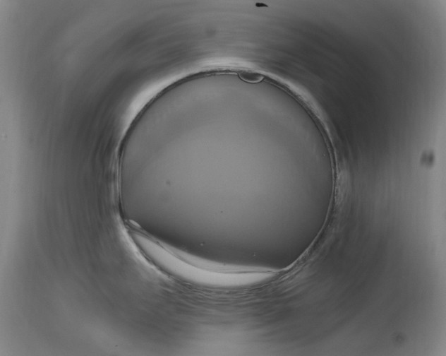 X0000114701295200911121532