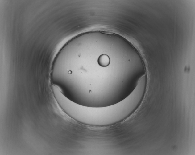 X0000114701296200911121532