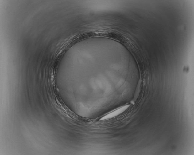 X0000114701298200911121531