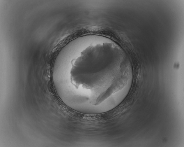 X0000114701301200911121531