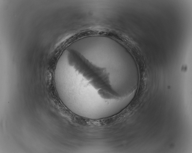 X0000114701302200911121531