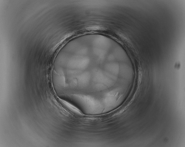 X0000114701305200911121531