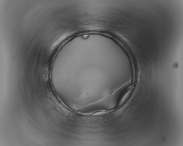 X0000114701306200911121531