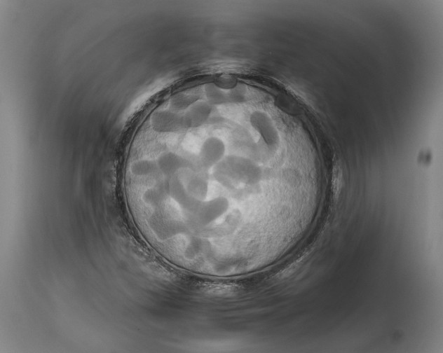 X0000114701309200911121531