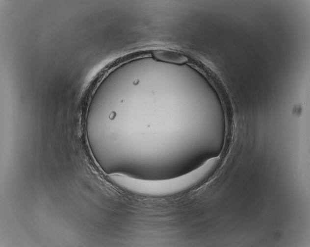 X0000114701310200911121531