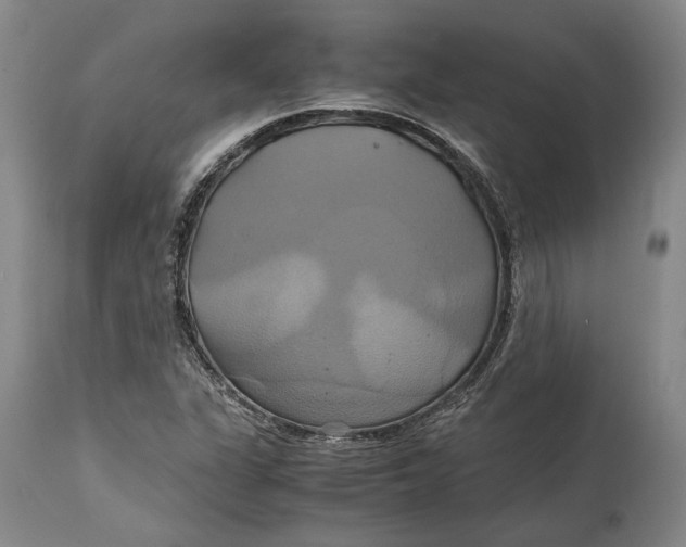 X0000114701311200911121531