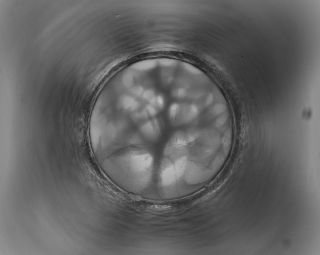 X0000114701313200911121531