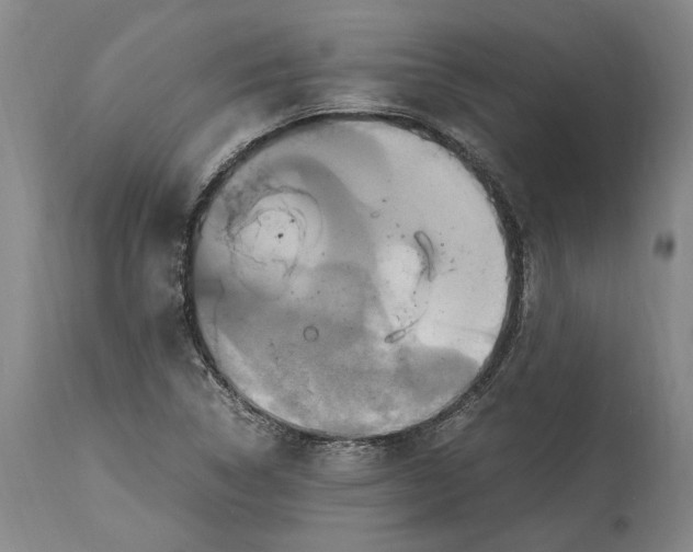 X0000114701314200911121531