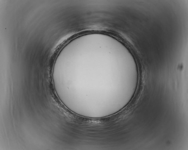 X0000114701315200911121531