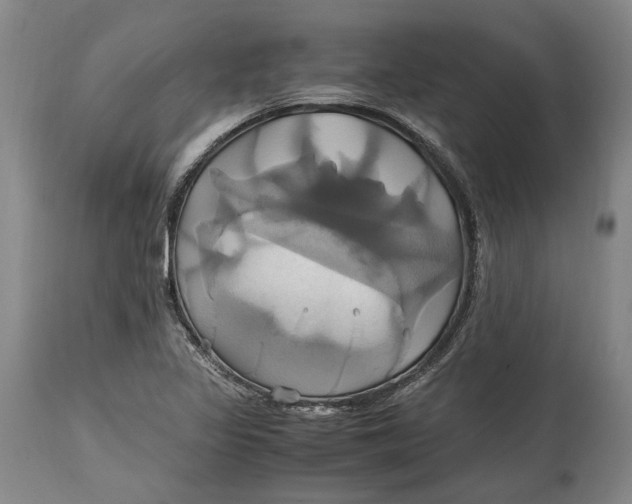 X0000114701317200911121531