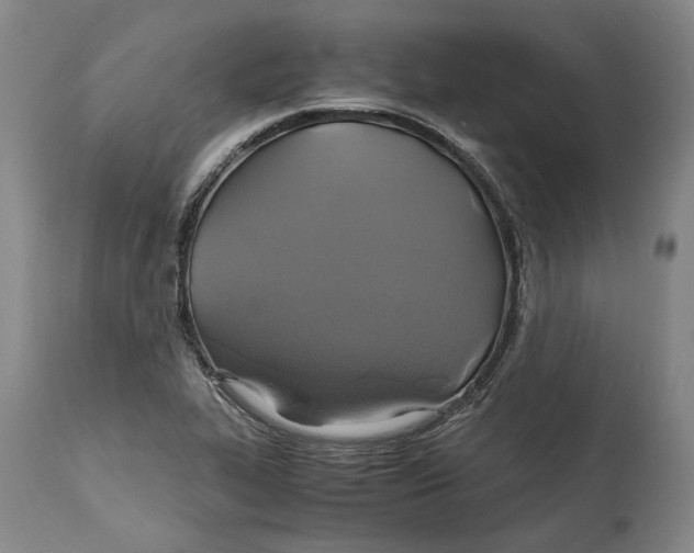 X0000114701319200911121531