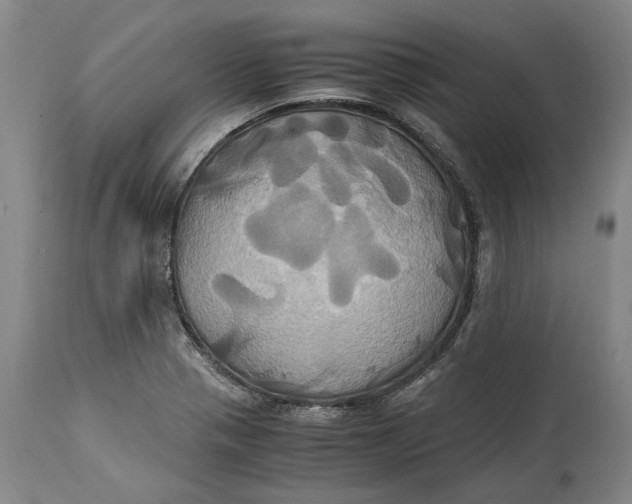 X0000114701321200911121531