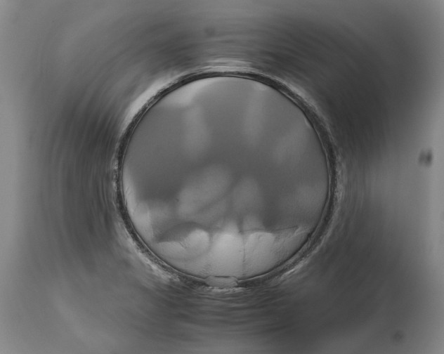 X0000114701325200911121531