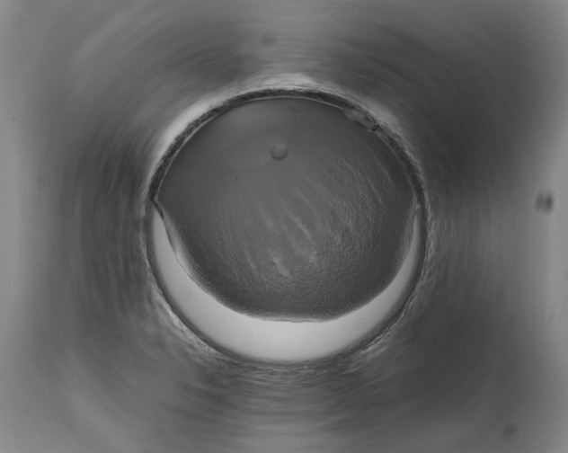 X0000114701326200911121531