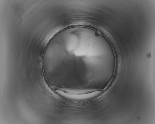 X0000114701329200911121531