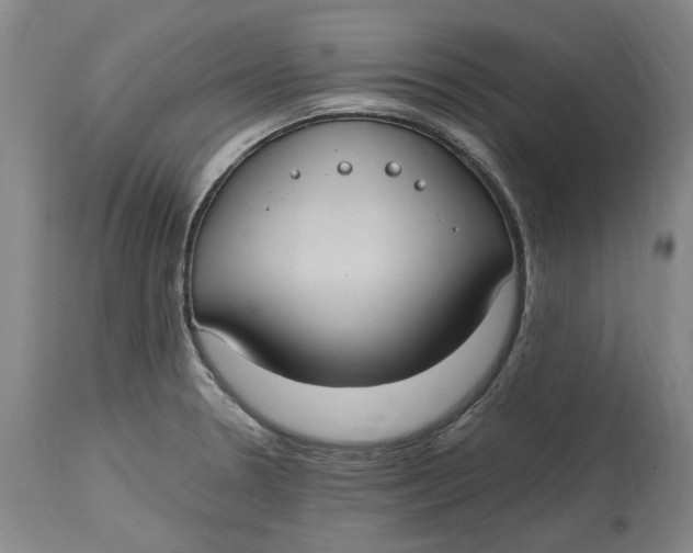 X0000114701330200911121531