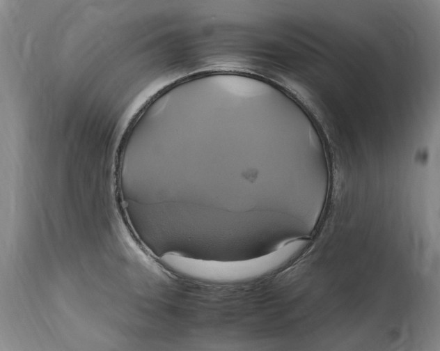 X0000114701331200911121531