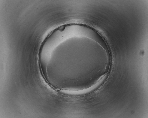 X0000114701334200911121531