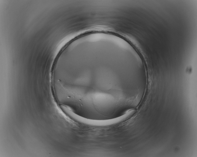 X0000114701335200911121531