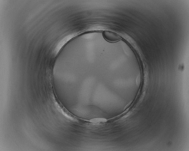 X0000114701337200911121531