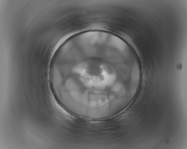 X0000114701339200911121531