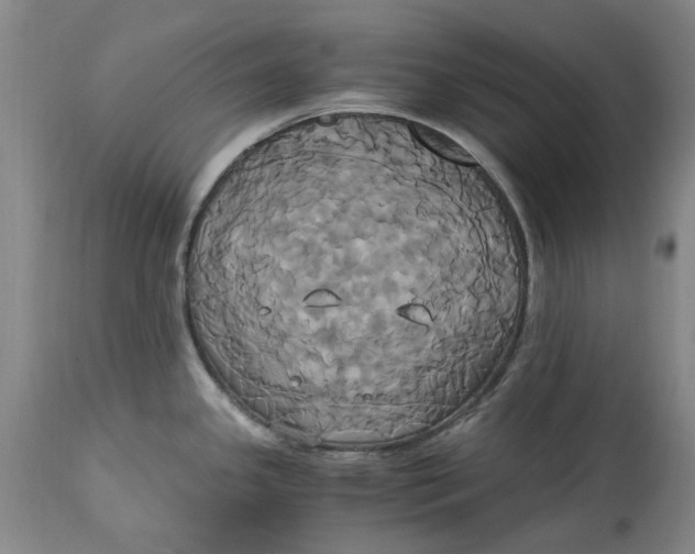 X0000114701341200911121531