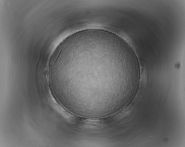 X0000114701342200911121531