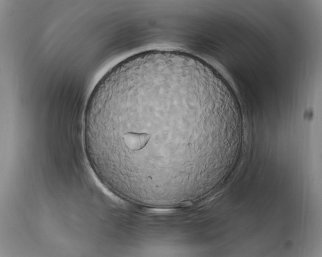 X0000114701343200911121532