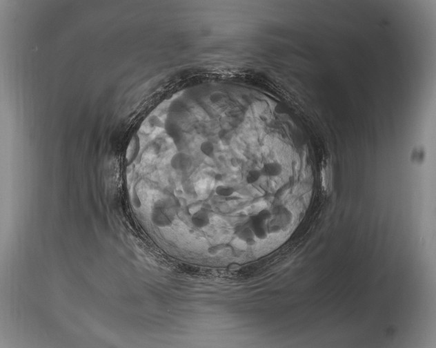 X0000114701347200911121531