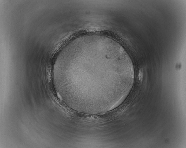 X0000114701348200911121531