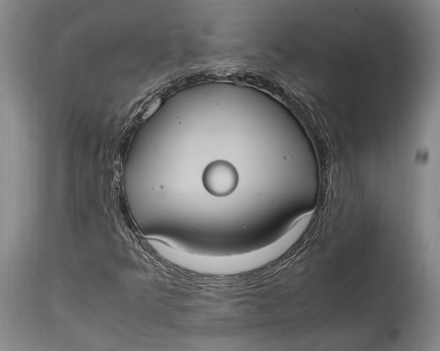 X0000114701349200911121531