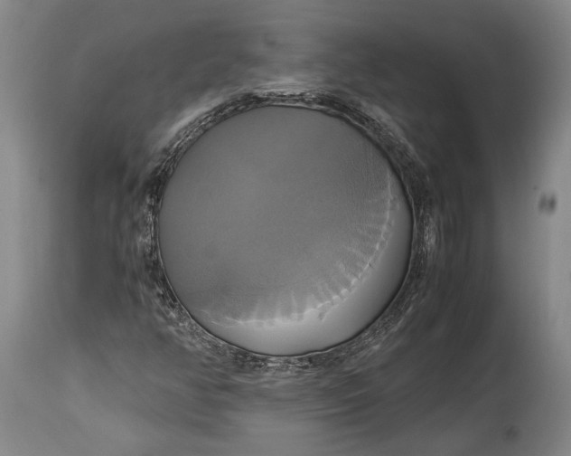 X0000114701350200911121531