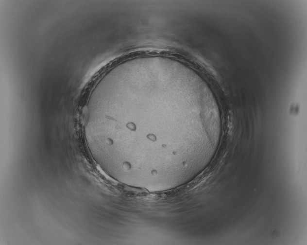 X0000114701352200911121531