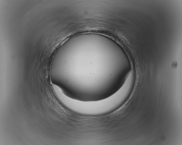 X0000114701353200911121531