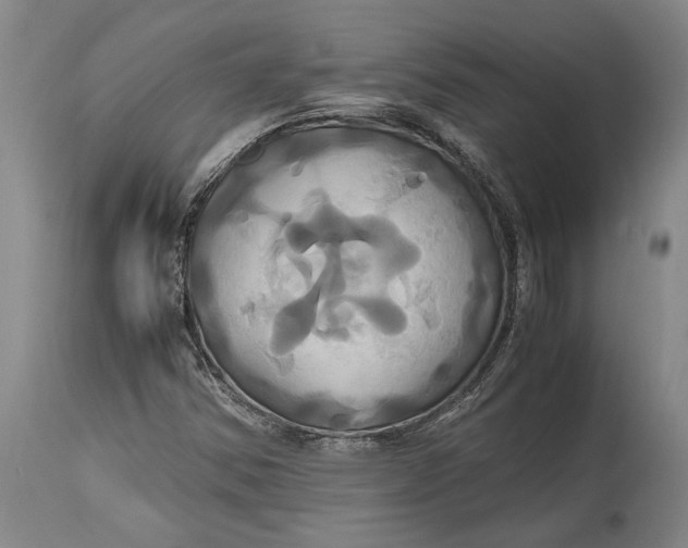 X0000114701354200911121531