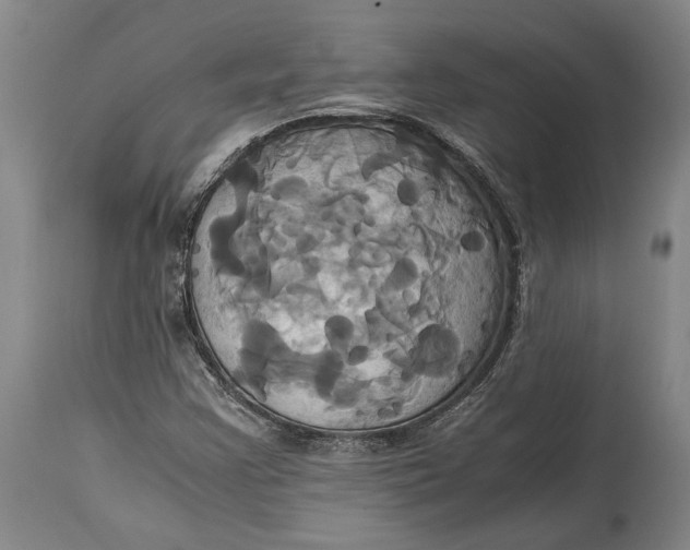 X0000114701355200911121531