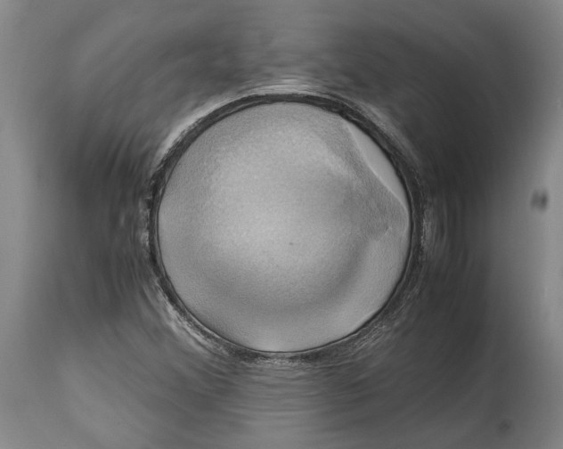 X0000114701356200911121531